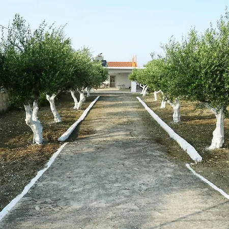 Nadia's House 1