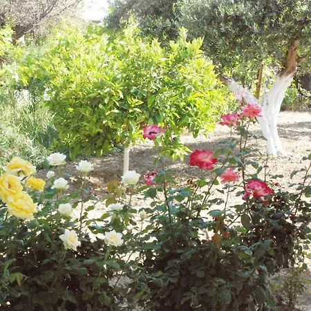 Nadia's House 1 *