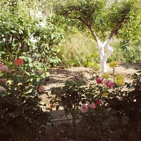 Nadia's House 1 Vakantiehuis