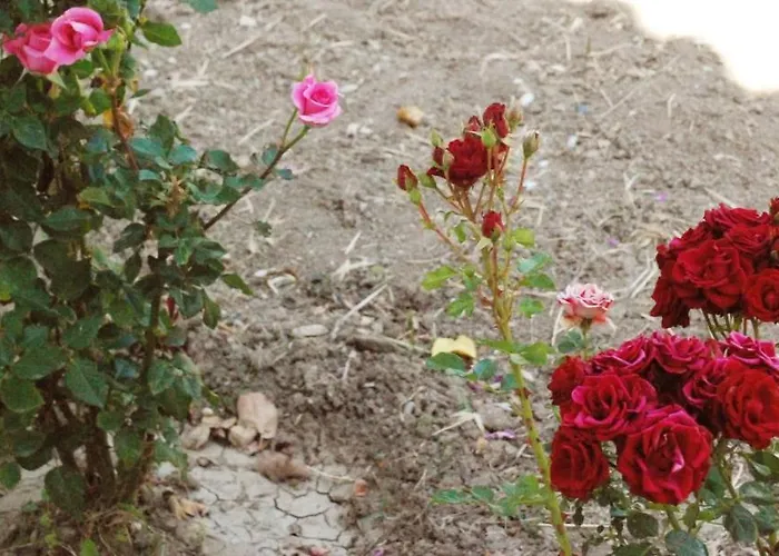 別荘 Nadia's House 1 *