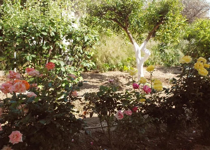 Nadia's House 1 بيت للعطل