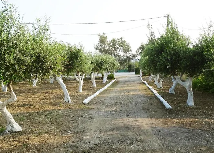 بيت للعطل Nadia's House 1